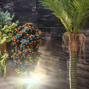 카페 오라 대표 사진