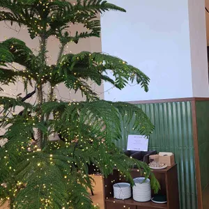 요크앤토크 리뷰 사진