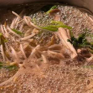 거북이동네 사진