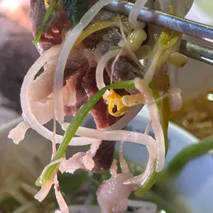 거북이동네 사진