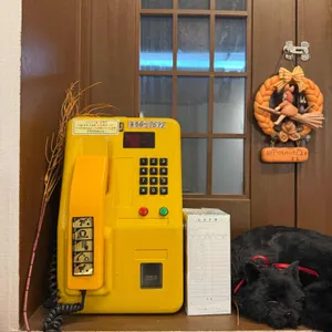 윤숲 리뷰 사진