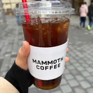 매머드익스프레스 사진