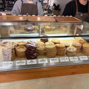 카운팅스타 리뷰 사진