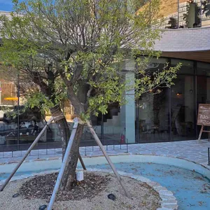 슈슈모아 대표 사진