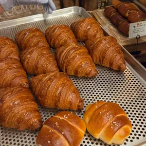 슈슈모아 대표 사진