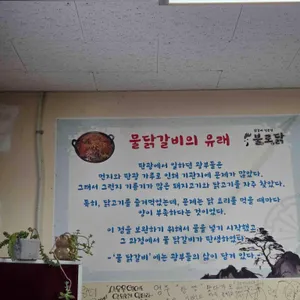 불로닭 리뷰 사진