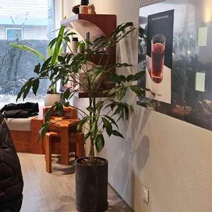 지엠엘 대표 사진