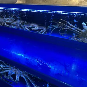 진 속초수산 사진