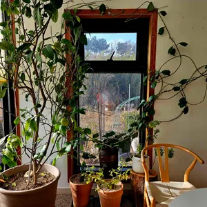 당인리포레스트 대표 사진