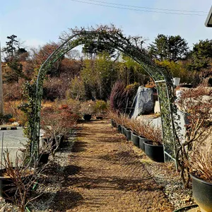 당인리포레스트 리뷰 사진