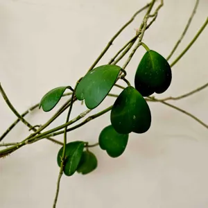 당인리포레스트 사진