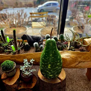 당인리포레스트 리뷰 사진