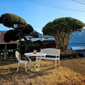 Cafe. jpg 리뷰 사진