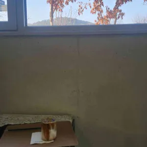 랩에쏘 갤러리 이서 대표 사진