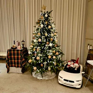 커브 리뷰 사진