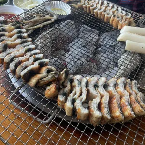 한강민물장어 사진