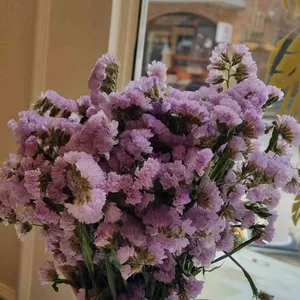 라펠리나 리뷰 사진