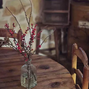 투아투아 대표 사진