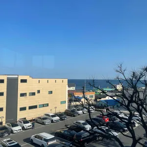 아레나피나 리뷰 사진