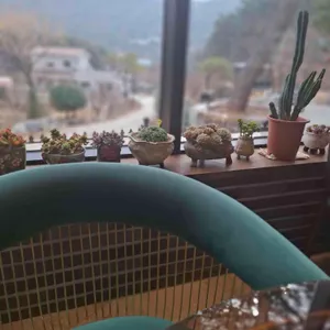 해미숲 카페 대표 사진