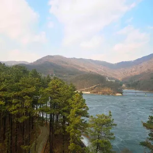 레드브릿지 대표 사진