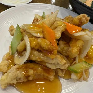 취선 대표 사진