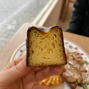 피브완 대표 사진