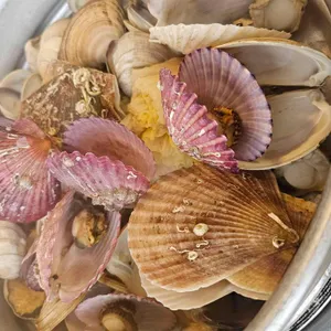 사또횟집수산물직판조개구이 사진