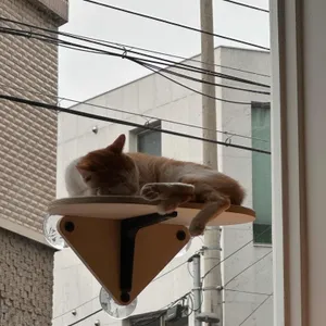 철이와수지 로스터스 대표 사진