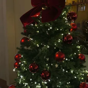 콜링우드 리뷰 사진