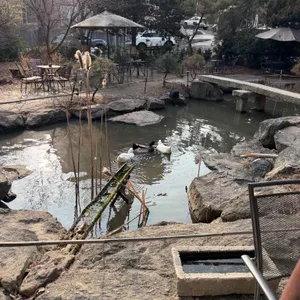 새소리 물소리 대표 사진