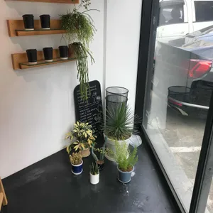 플로피 대표 사진