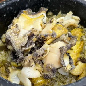 해마지 대표 사진