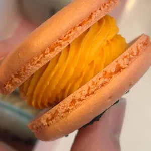 샤라라 대표 사진