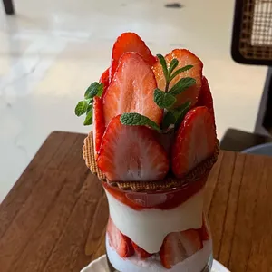 목련양과 대표 사진