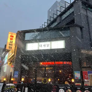 대새닭 대표 사진