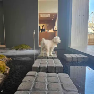 내면의 발견 대표 사진