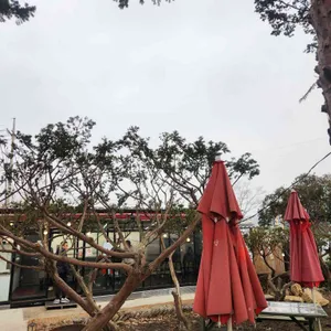 곰골식당 대표 사진