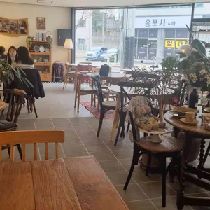 골드피쉬 대표 사진