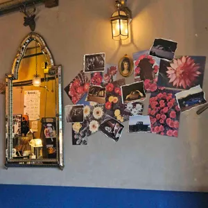 호랑이 대표 사진