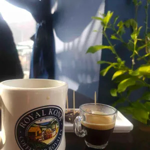 파니올로 사진 1