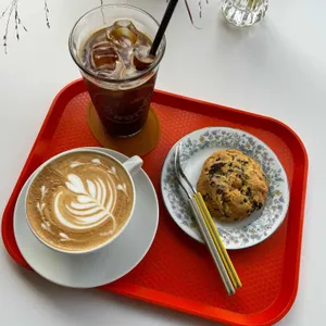 노워리스 사진 2