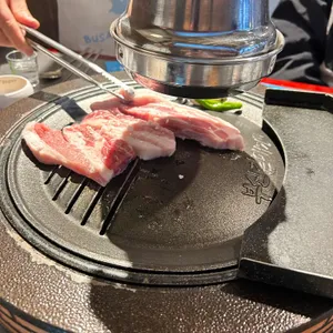 부산갈매기 사진 1