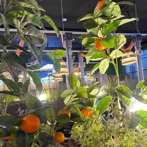 제줏간 대표 사진