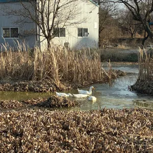 구성커피 로스터스 대표 사진