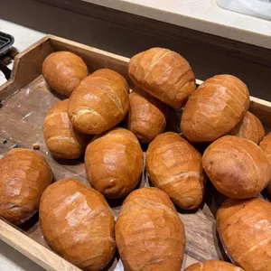 포이드캐롯 사진 1