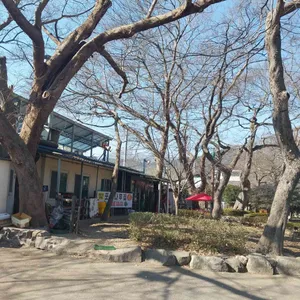 포구나무집 리뷰 사진