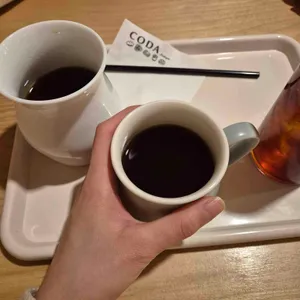 코다 대표 사진