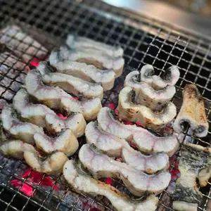 풍천장어 대표 사진