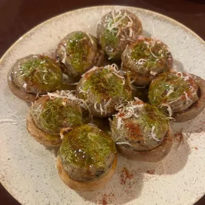 타파코파 대표 사진